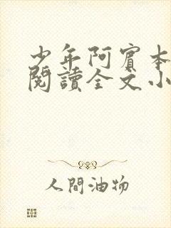 少年阿宾本全文阅读全文小说