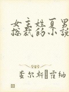 女主姓夏男主是总裁的小说