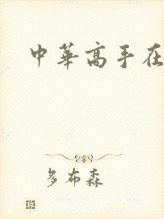 中华高手在异世