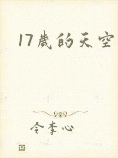 17岁的天空封面
