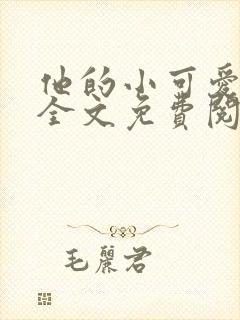 他的小可爱小说全文免费阅读