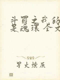 斗罗之我的武魂是魂环 全文