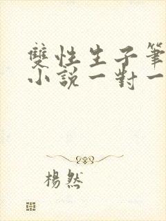 双性生子笔趣阁小说一对一