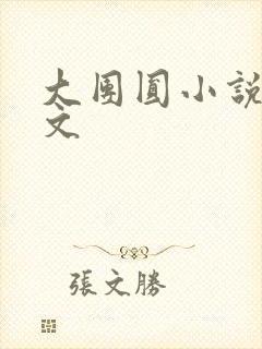 大团圆小说集全文封面