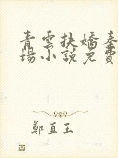 青云扶娇秦朗官场小说免费阅读