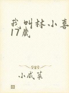 我叫林小喜今年17岁