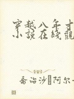 穿越八年才出道小说在线观看