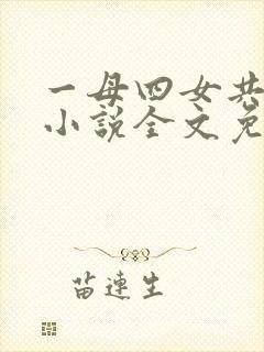一母四女共一婿小说全文免费封面