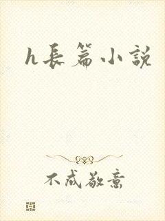 h长篇小说