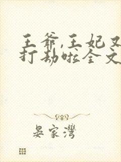 王爷,王妃又去打劫啦全文免费阅读