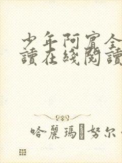 少年阿宾全文阅读在线阅读全文第一季