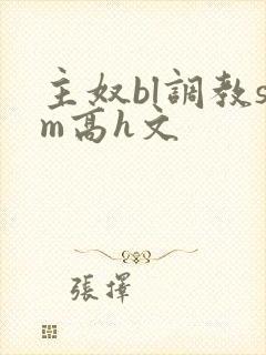 主奴bl调教sm高h文封面