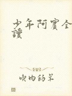 少年阿宾全集阅读