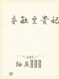 睿敏皇贵妃封面