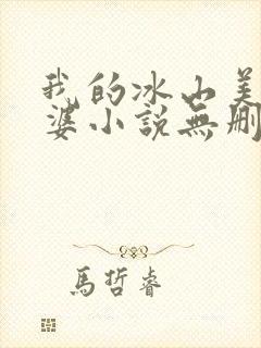 我的冰山美女老婆小说无删减版