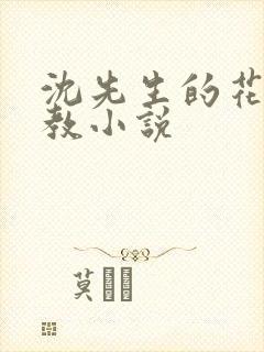 沈先生的花式调教小说