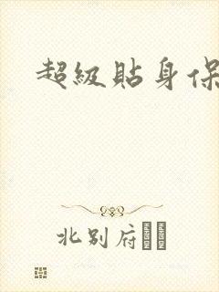 超级贴身保镖封面