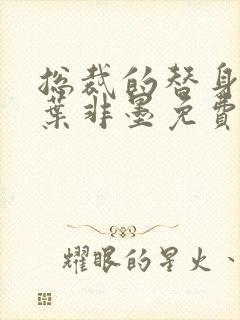 总裁的替身前妻叶非墨免费