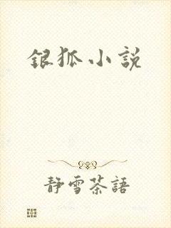 银狐小说