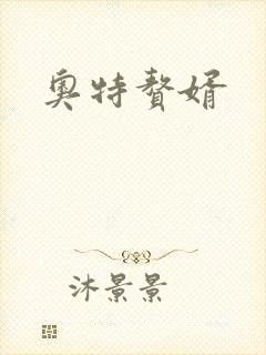 奥特赘婿
