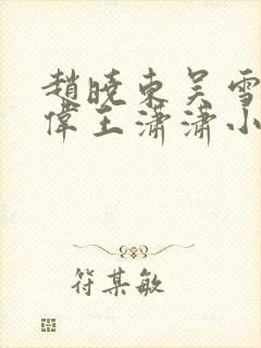 赵晓东吴雪晴郑伟王潇潇小说封面