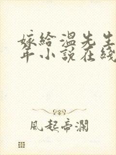 嫁给温先生第五年小说在线阅读