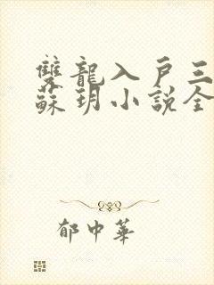 双龙入户三人行苏玥小说全文阅读