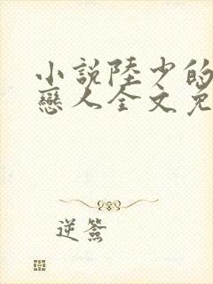 小说陆少的秘密恋人全文免费阅读