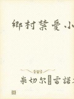 乡村禁爱小说