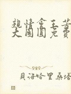 亲情会王芳高敏大团圆免费阅读封面