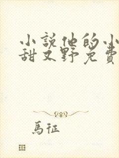小说他的小祖宗甜又野免费阅读