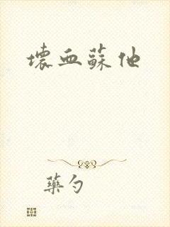 坏血苏他封面
