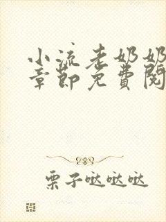小流老奶奶最新章节免费阅读