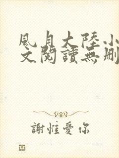 风月大陆小说全文阅读无删减封面
