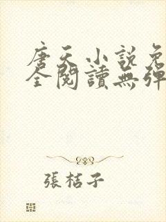 唐天小说免费大全阅读无弹窗