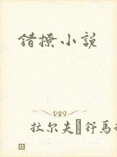 错撩小说