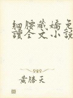 细腰藏娇免费阅读全文小说苏珞浅