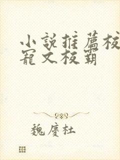 小说推荐校园甜宠文校霸