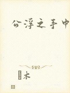 公浮之手中字5