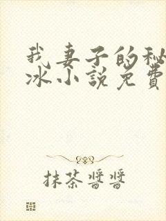 我妻子的秘密王冰小说免费阅读