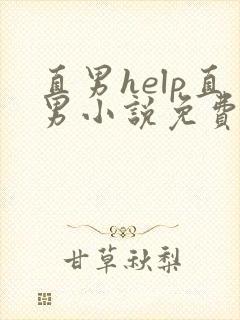 直男help直男小说免费阅读全文笔趣阁完整版