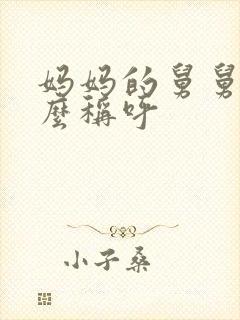 妈妈的舅舅该怎么称呼