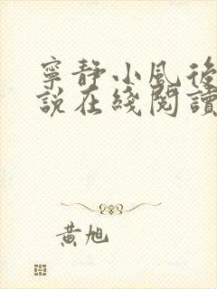 宁静小风后妈小说在线阅读无弹窗