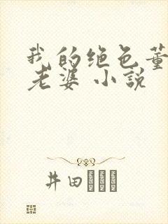我的绝色董事长老婆 小说