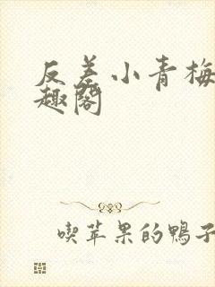 反差小青梅 笔趣阁封面