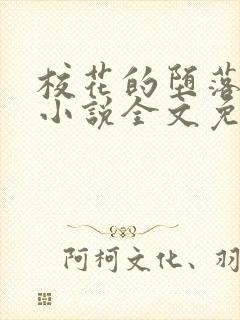 校花的堕落日记小说全文免费阅读