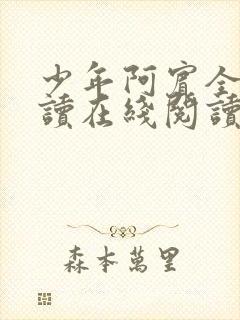 少年阿宾全文阅读在线阅读