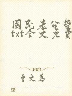 国民老公带回家txt全文免费阅读封面