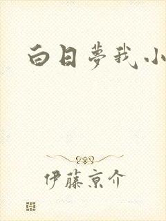 白日梦我小说