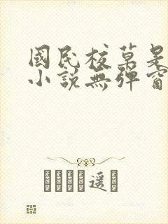 国民校草是女生小说无弹窗全文免费阅读封面